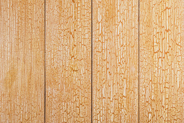 Similar image 21355011