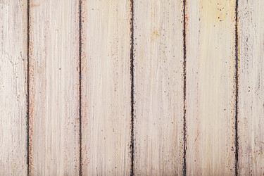 Similar image 21355013