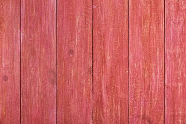 Similar image 21355016