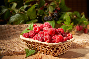 Similar image 21356153