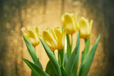 Similar image 21356163