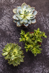 Similar image 21354675