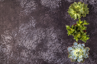 Similar image 21354679