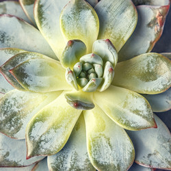 Similar image 21354687