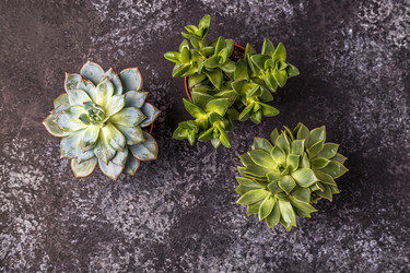 Similar image 21354761