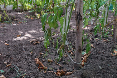 Similar image 21356391