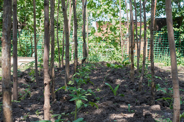 Similar image 21356392