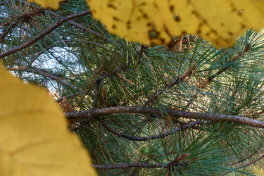 Similar image 21356396