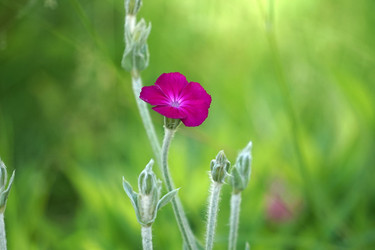 Similar image 21354121