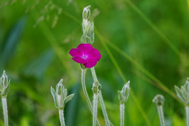 Similar image 21354122