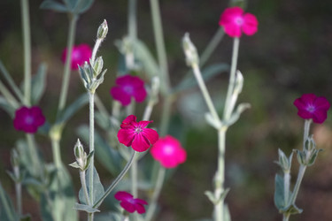 Similar image 21354123