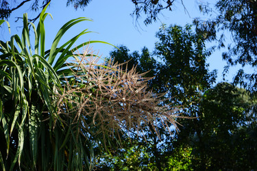 Similar image 21354124