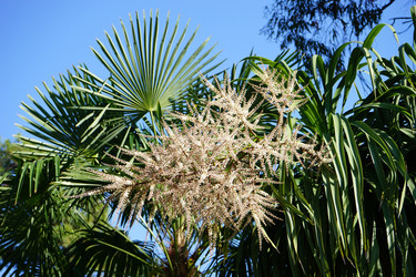 Similar image 21354125