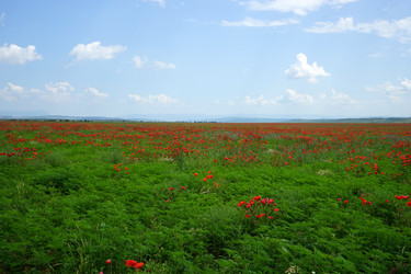 Similar image 21354126