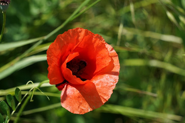 Similar image 21354127