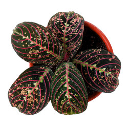 Similar image 21353899