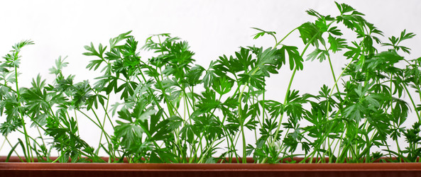 Similar image 21353901