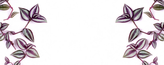 Similar image 21353903