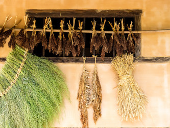 Similar image 21354200