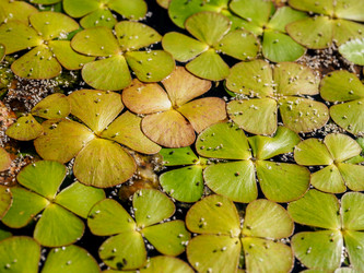 Similar image 21354202