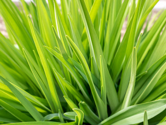 Similar image 21354222