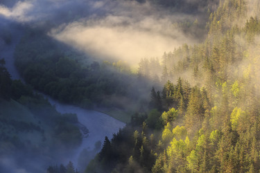 Similar image 21354225