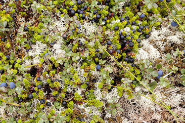 Similar image 21354237