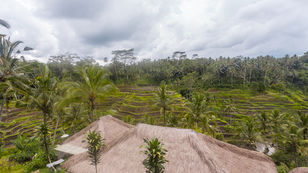 Similar image 21354248