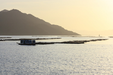 Similar image 21354249