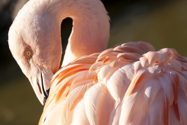 Similar image 21354251