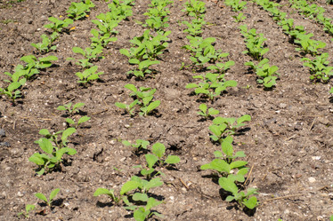 Similar image 21354092