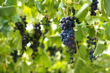 Similar image 21354094