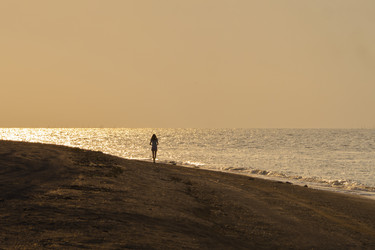 Similar image 21354095