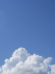 Similar image 21354098