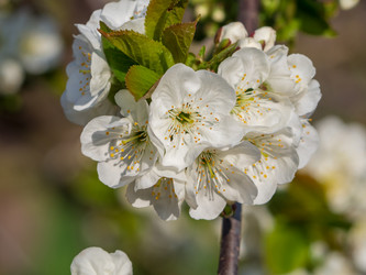 Similar image 21354104