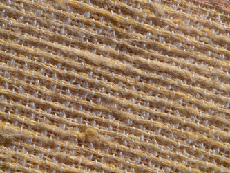 Similar image 21354107