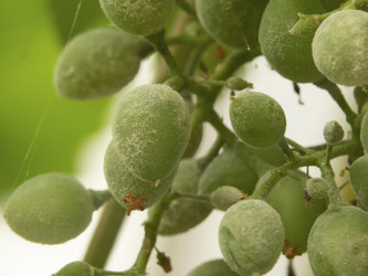 Similar image 21354108