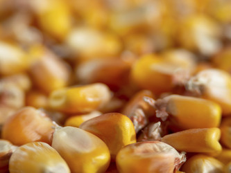 Similar image 21354110