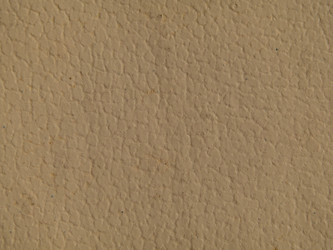 Similar image 21354112