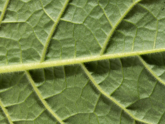 Similar image 21354113