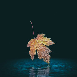 Similar image 21354323