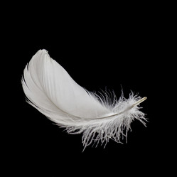 Similar image 21354325