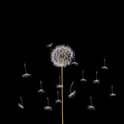 Similar image 21354332