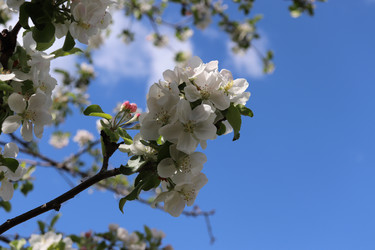 Similar image 21355366