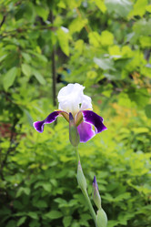 Similar image 21355367