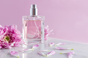 Similar image 21354336