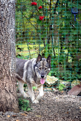 Similar image 21356006