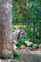 Similar image 21356007