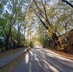 Similar image 21356015