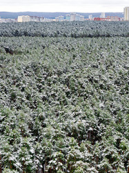 Similar image 21356018